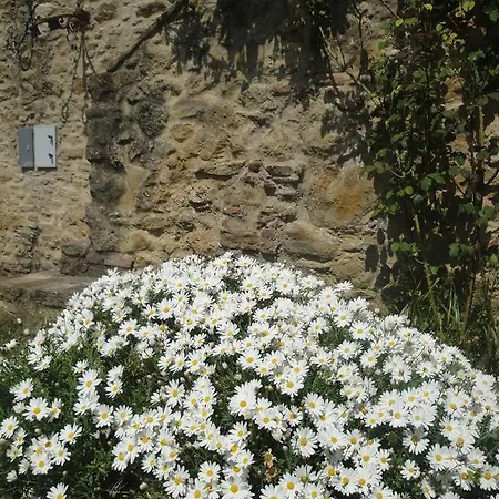Il Moreto Casale Marittimo