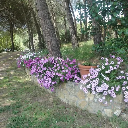 Il Moreto Casale Marittimo