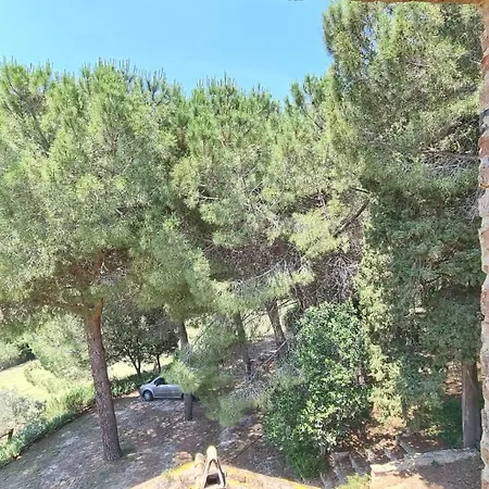 Apartment Il Moreto