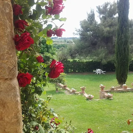 Apartment Il Moreto *