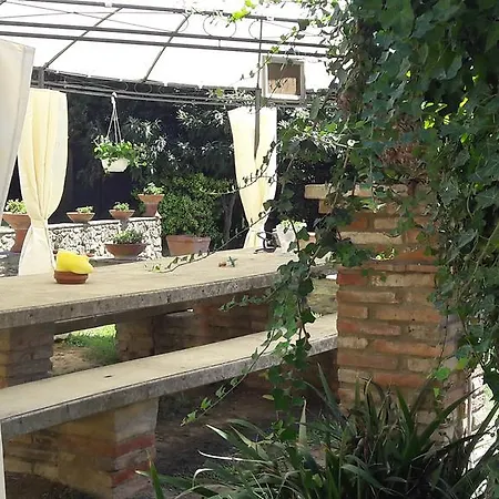 Apartment Il Moreto *