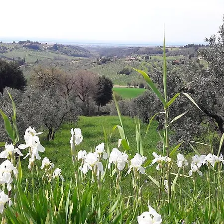 Il Moreto Casale Marittimo