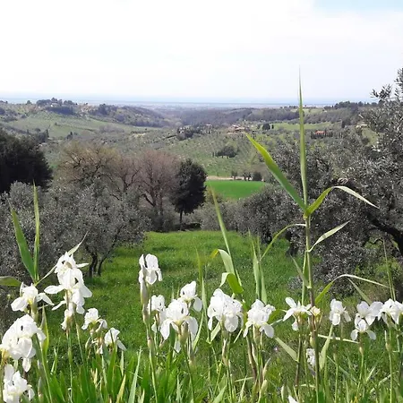 Il Moreto Apartment *