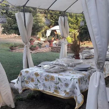 Il Moreto * Casale Marittimo